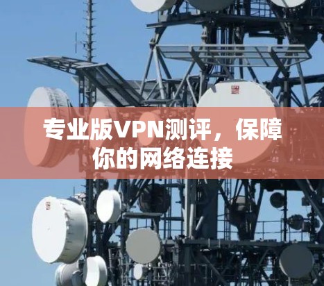 专业版VPN测评，保障你的网络连接