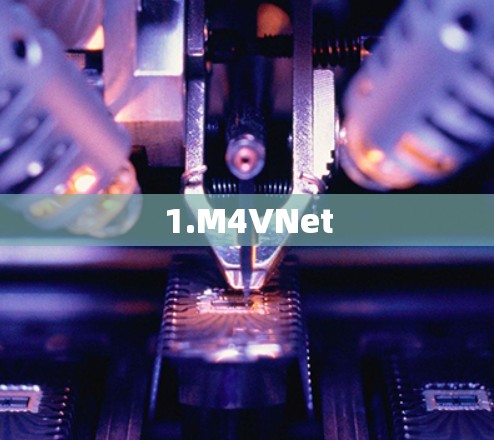 1.M4VNet