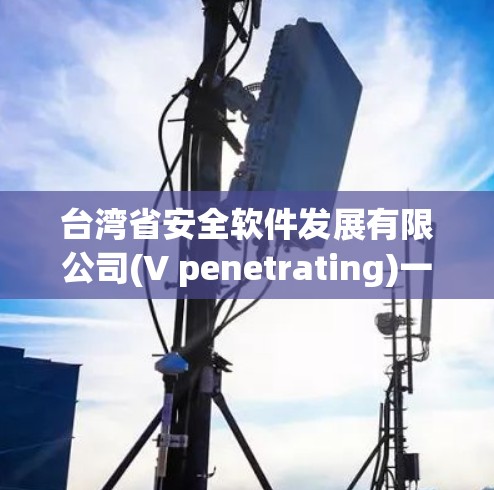 台湾省安全软件发展有限公司(V penetrating)一款功能强大、安全可靠的个人用户VPN软件