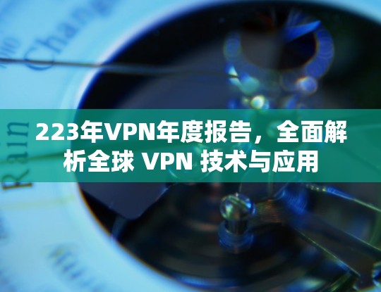 223年VPN年度报告,全面解析全球 VPN 技术与应用 223年VPN年度报告,全面解析全球 VPN 技术与应用