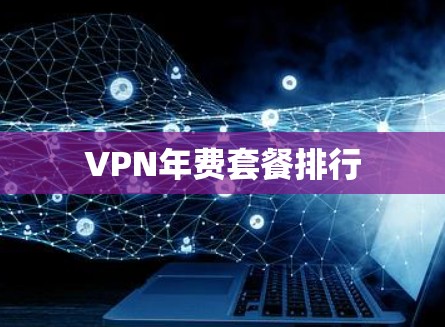 VPN年费套餐排行