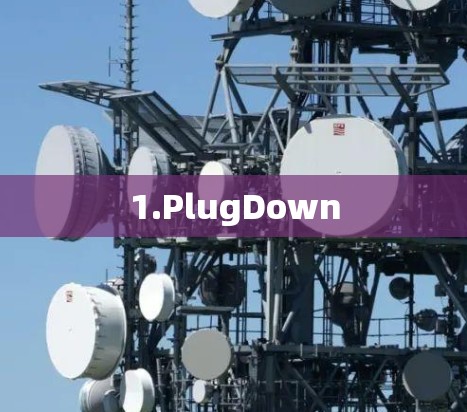 1.PlugDown