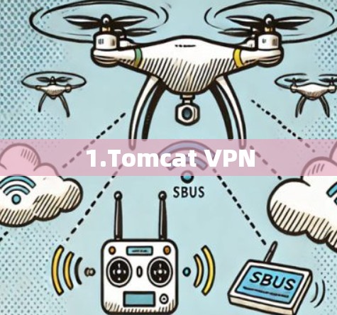 1.Tomcat VPN