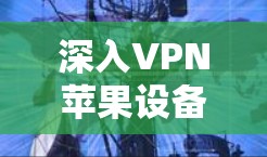 深入VPN苹果设备设置，保护隐私与安全