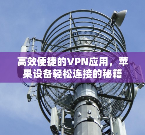 高效便捷的VPN应用，苹果设备轻松连接的秘籍