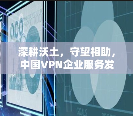 深耕沃土，守望相助，中国VPN企业服务发展现状与未来展望