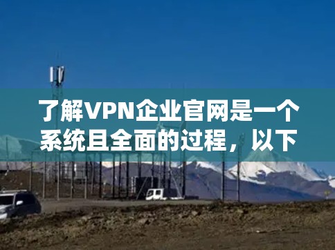 了解VPN企业官网是一个系统且全面的过程，以下是详细的步骤指南