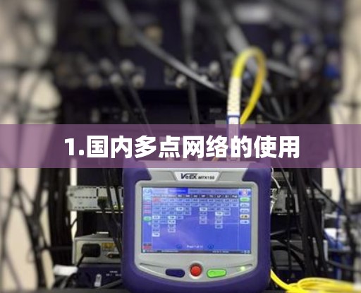 1.国内多点网络的使用