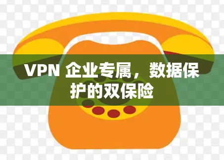 VPN 企业专属，数据保护的双保险