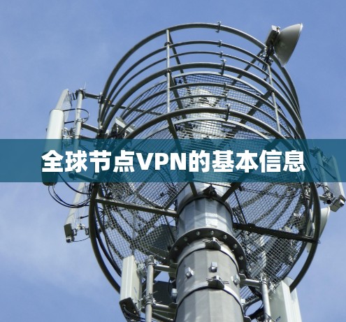 全球节点VPN的基本信息