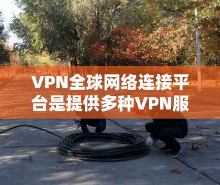 VPN全球网络连接平台是提供多种VPN服务的多样化解决方案，用户可以根据自己的需求选择适合的平台。以下是对这些平台的详细介绍