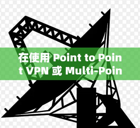 在使用 Point to Point VPN 或 Multi-Point VPN 在全球连接时，以下是详细的步骤和注意事项