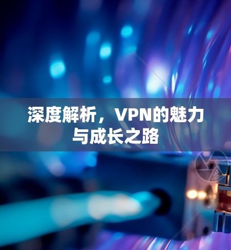 深度解析，VPN的魅力与成长之路