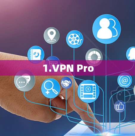 1.VPN Pro