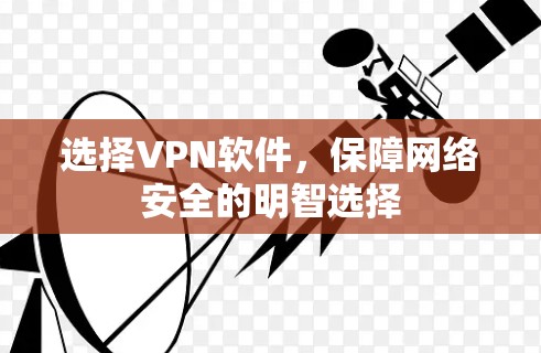 选择VPN软件,保障网络安全的明智选择 选择VPN软件,保障网络安全的明智选择