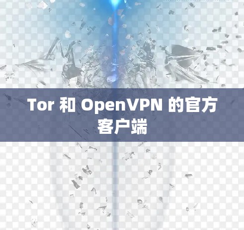 Tor 和 OpenVPN 的官方客户端 Tor 和 OpenVPN 的官方客户端