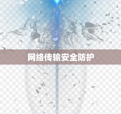 网络传输安全防护 网络传输安全防护