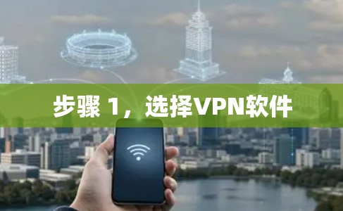 步骤 1，选择VPN软件