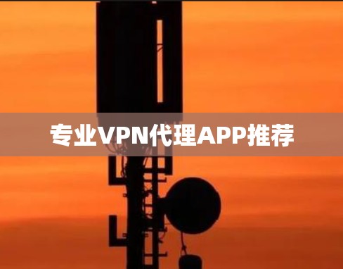 专业VPN代理APP推荐